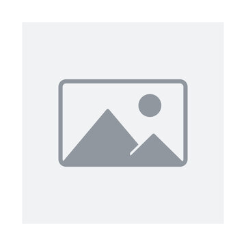 Logo MS3G