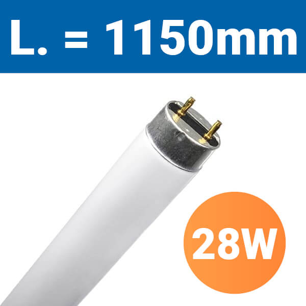 T5_28W1150.jpg