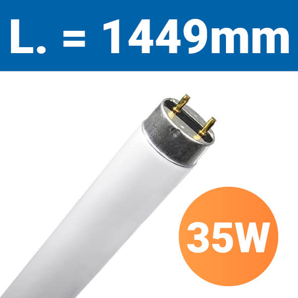 T5_35W1449.jpg